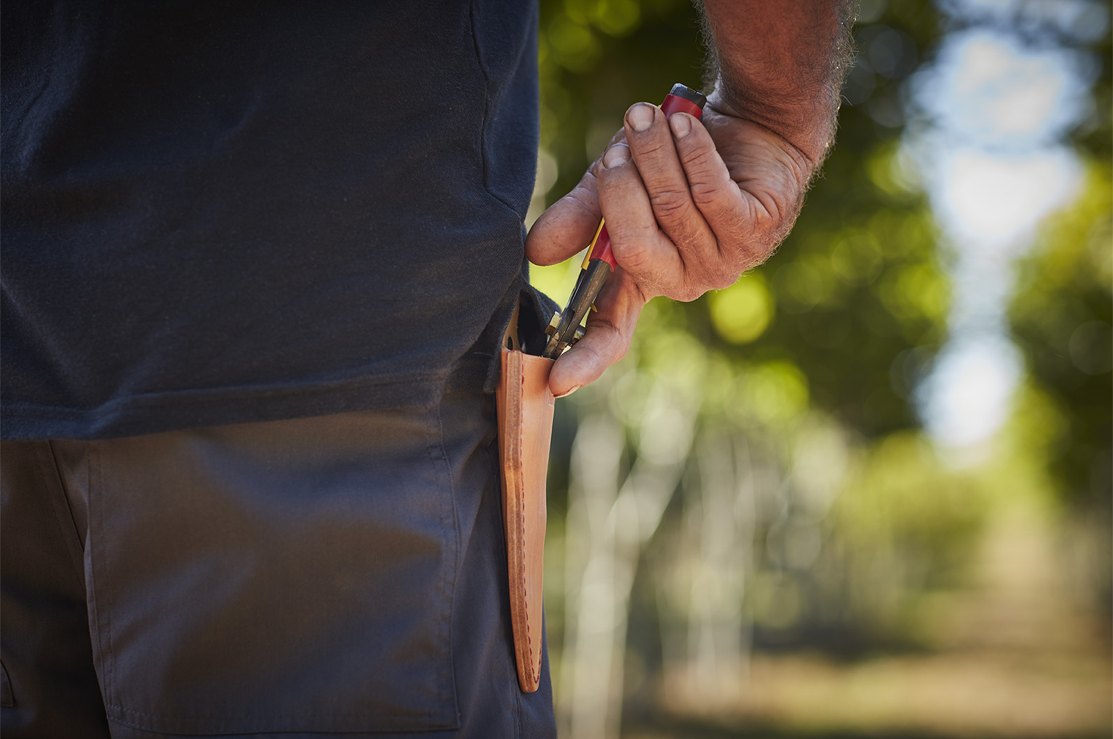 Part of a series of images to capture the hands on nature of caring for the trees.